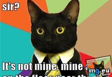 Tags: advice, animal, animals, boundaries, business, cat, memes, sir (Pict. in LOLCats, LOLDogs and cute animals)