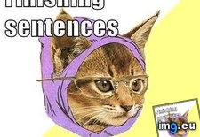 Tags: advice, animal, animals, finishing, hipster, kitty, memes, titles (Pict. in LOLCats, LOLDogs and cute animals)