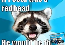 Tags: advice, animal, animals, coon, games, hunger, lame, memes, pun, survive (Pict. in LOLCats, LOLDogs and cute animals)