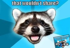Tags: advice, animal, animals, coon, lame, memes, out, pun (Pict. in LOLCats, LOLDogs and cute animals)