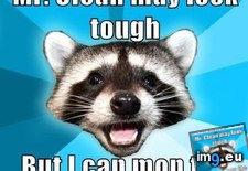 Tags: advice, animal, animals, coon, face, his, lame, memes, off, pun, smirk, wipe (Pict. in LOLCats, LOLDogs and cute animals)