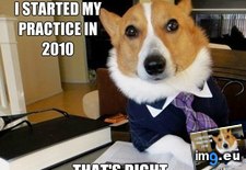 Tags: advice, animal, animals, dog, fixing, lawyer, memes, retire (Pict. in LOLCats, LOLDogs and cute animals)