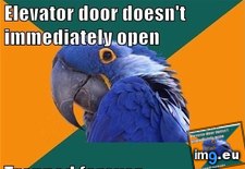 Tags: advice, animal, animals, memes, paranoid, parrot, tombs, worse (Pict. in LOLCats, LOLDogs and cute animals)