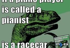 Tags: advice, animal, animals, memes, philosoraptor, racist, skilled (Pict. in LOLCats, LOLDogs and cute animals)