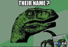 Tags: advice, animal, animals, are, lazy, memes, philosoraptor, poke, scientists (Pict. in LOLCats, LOLDogs and cute animals)