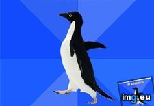 Tags: advice, animal, animals, awkward, ceremony, memes, penguin, socially (Pict. in LOLCats, LOLDogs and cute animals)