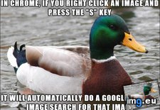 Tags: chrome, feature, neat (Pict. in My r/ADVICEANIMALS favs)