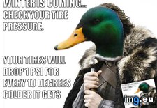 Tags: actual, advice, announcement, eddard, public, service, stark (Pict. in My r/ADVICEANIMALS favs)
