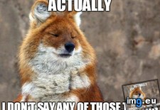 Tags: image (Pict. in My r/ADVICEANIMALS favs)