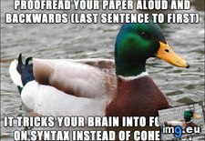 Tags: advice, for, mallard, papers, procrastinating, students (Pict. in My r/ADVICEANIMALS favs)