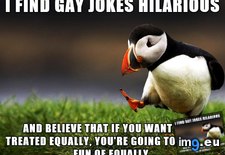 Tags: gay, insensitive, jokes, say (Pict. in My r/ADVICEANIMALS favs)