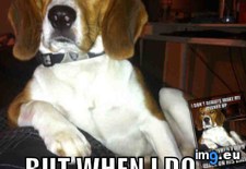 Tags: damn, morning (Pict. in My r/ADVICEANIMALS favs)