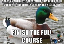 Tags: clinical, heading, microbiologist, shitstorm, way, witnesses (Pict. in My r/ADVICEANIMALS favs)