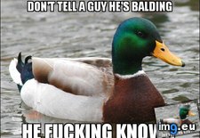 Tags: guy, hair, thin (Pict. in My r/ADVICEANIMALS favs)