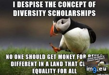 Tags: got, hard, infuriates, kid, white, worked (Pict. in My r/ADVICEANIMALS favs)