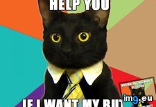 Tags: business, cat, flattery, succumb (Pict. in My r/ADVICEANIMALS favs)