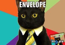 Tags: business, cat, competition, ready (Pict. in My r/ADVICEANIMALS favs)