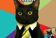 Tags: business, cat, marketing, strategy (Pict. in My r/ADVICEANIMALS favs)