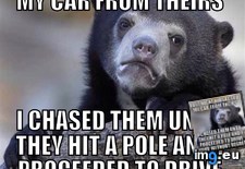 Tags: bear, confession, mischief, night (Pict. in My r/ADVICEANIMALS favs)