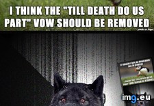 Tags: words (Pict. in My r/ADVICEANIMALS favs)