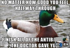 Tags: favor (Pict. in My r/ADVICEANIMALS favs)