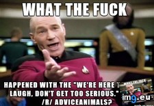 Tags: anymore, care (Pict. in My r/ADVICEANIMALS favs)