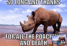 Tags: ring (Pict. in My r/ADVICEANIMALS favs)