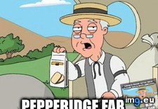 Tags: meme (Pict. in My r/ADVICEANIMALS favs)