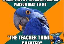 Tags: are, sitting, you (Pict. in My r/ADVICEANIMALS favs)
