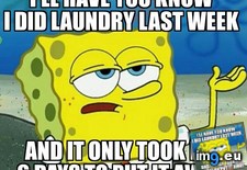 Tags: laundry, time (Pict. in My r/ADVICEANIMALS favs)