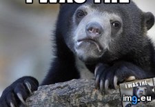 Tags: bad, everytime, feel, meme, see (Pict. in My r/ADVICEANIMALS favs)