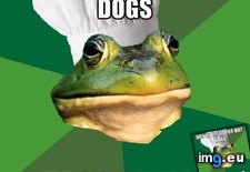Tags: caliente, con, cuisine, expert, perro, taco (Pict. in My r/ADVICEANIMALS favs)
