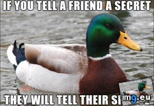 Tags: friends, marry, mind, redditors, starting, young (Pict. in My r/ADVICEANIMALS favs)