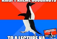 Tags: brought, class, did, doughnuts, freshman, introduce, morning, pleased, walk, way (Pict. in My r/ADVICEANIMALS favs)