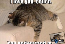 Tags: drunk, feel, how (Pict. in My r/ADVICEANIMALS favs)