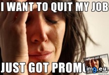 Tags: finally, one (Pict. in My r/ADVICEANIMALS favs)