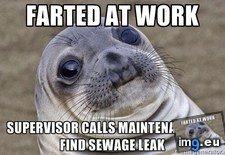 Tags: admitted, built (Pict. in My r/ADVICEANIMALS favs)
