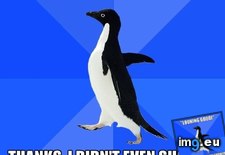 Tags: idea, responded, why (Pict. in My r/ADVICEANIMALS favs)
