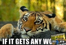 Tags: hope, rain, slows (Pict. in My r/ADVICEANIMALS favs)