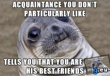 Tags: memes (Pict. in My r/ADVICEANIMALS favs)
