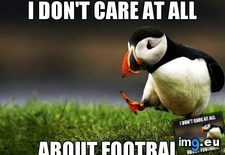 Tags: get, likes, why (Pict. in My r/ADVICEANIMALS favs)