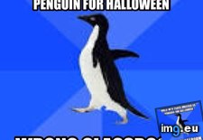 Tags: costume, for, fun, school, substitute, teacher, wore (Pict. in My r/ADVICEANIMALS favs)