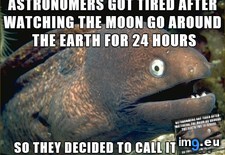 Tags: apollogize (Pict. in My r/ADVICEANIMALS favs)