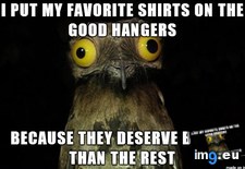 Tags: favorites, pick (Pict. in My r/ADVICEANIMALS favs)