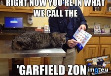 Tags: cat, picture, resist, saw, vet (Pict. in My r/ADVICEANIMALS favs)