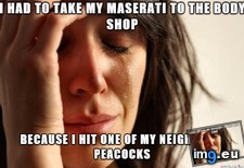 Tags: overheard, publix (Pict. in My r/ADVICEANIMALS favs)