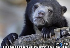 Tags: family, get, own, pick, schedule, work (Pict. in My r/ADVICEANIMALS favs)
