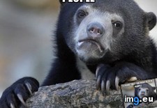 Tags: for, missed, stood (Pict. in My r/ADVICEANIMALS favs)