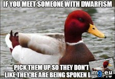 Tags: meet, person, you (Pict. in My r/ADVICEANIMALS favs)