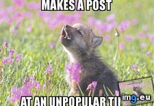Tags: can, drive, insanity, insomnia, you (Pict. in My r/ADVICEANIMALS favs)